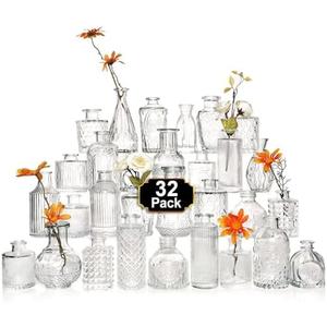Arme Glass Bud Vase Set of 31 Pcs，Small Glass Vases for Flowers，Clear Bud Vases in Bulk，Vintage Vases for Centerpieces，Small Glass Bud Vase for Rustic Wedding Decorations，Home Table Flower Décor