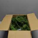 Skytex Softbox Lighting Kit(1-2Pack),16x16in Soft Box|Upgrade 135W 2700-6400K 100V-240V E27 LEDBulb Continuous Photography Lighting,Photo Studio Light Equipment for Camera Shooting Video Recording