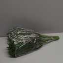 20 Pcs Real Touch Norfolk Pine Branches, Artificial Christmas Green Plants Branch Faux Greenery Stem Fake Pine Picks for Vase DIY Crafts Garland Wreath Xmas Indoor Outdoor Decor(18 Inches)