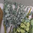 200 Pcs 4 Kinds Mixed Artificial Eucalyptus Greenery Stems Bulk Baby Breath Flowers Artificial Bulk with Fake Silver Dollar Leaves Plants for Centerpieces Wedding Bouquet DIY Home Decor