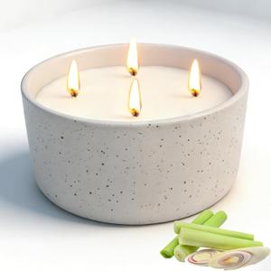Citronella Candles Outdoor for Patio, 22oz Large 4-Wick Natural Soy Wax Candle, 100-Hour Long Lasting Citronella Oil Candle in Decorative Ceramic Jar for Backyard, Garden, Deck, Summer Nights
