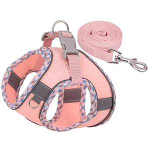 Petank Dog Harness for Small Medium Dogs No Pull, Puppy Harness and Leash Set, Step in Dog Harness for Walking, Running, Training, Small Dog Vest ( S)