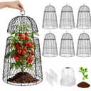 6 Pack XL Metal Garden Cloches for Plants, 17" Height Rustproof Chicken Wire Cloches for Seedlings, Vegetables & Flowers, Plant Protectors from Animals Includes 6 Humidity Domes & 24 Stakes - Black