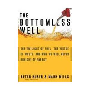 The Bottomless Well: The Twilight of Fuel, The Virtue of Waste, and Why We Will Never Run Out of Energy