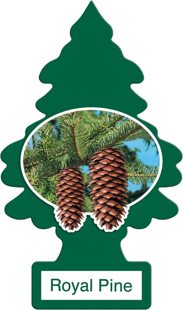 LITTLE TREES Car Air Freshener | Hanging Paper Tree for Home or Car | Royal Pine | 12 Pack