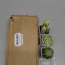 Nattol Artificial Mini Succulent & Cactus Plants in White Cube-Shaped Pots for Home Decor, Set of 4