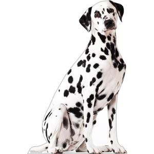 Cardboard People Dalmation Dog Life Size Cardboard Cutout Standup - Made in USA