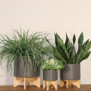Ceramic Planter With Stand Indoor Plant Stand Elevated Plant Stand For Displaying Greenery, Living Room, Bedroom, Office, Or Patio, Minimalist Garden Accent For Home Decor 7", Gray