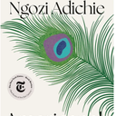 Americanah, by Chimamanda Ngozi Adichie, Book
