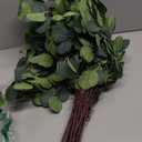 Beferr 6Pcs Artificial Eucalyptus Stems Greenery Stems 24" Tall Fake Plants Decor Faux Floral Stems for Vase Home Party Wedding Decorations