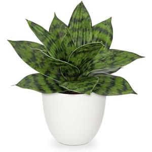 Hollyone Artificial Snake Plants 9" Faux Agave Succulent Plant Potted in White Pot Fake Sansevieria Aloe Tropical Plant for Desk Modern Office Home Bathroom Indoor Outdoor Decor