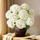 2 Bunchs 21in.White Real Touch Hydrangea Artificial Flowers,with 10pcs Flower Heads 20pcs Green Leaves. Faux Hydrangea Flowers. for Home Office Decor Wedding Party Arrangements (2, White)
