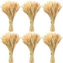 600 Stems Natural Dried Wheat Stalks, 18 inches Dried Wheat Grass Bundle Wheat Sheaves Wreath for Flowers Arrangement Wedding Table Centerpieces Home Kitchen Office DIY Party Dcor