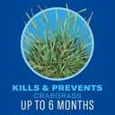 BioAdvanced 5-in-1 Weed and Feed Granules - Kills Lawn Weeds & Crabgrass - Feeds, Greens & Strengthens Lawn - Treats Up to 4,000 Square Feet - 9.6 lb Bag 