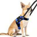 Protective Halo Harness for Blind Dogs, Adjustable Collision Prevention Vest with Soft Padding and Secure Fit for Small and Medium Dogs (14-18in)