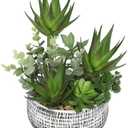 11” Large Succulents Aloe Plants Artificial in Ceramic Pots Potted Faux Succulent Eucalyptus Arrangement with Black Bowl Pots Fake Desk Succulents Plants for Home Bathroom Shelf Table Indoor Decor