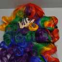 ColorGround Long Curly Cosplay Wig with 2 Ponytails(Rainbow Color)