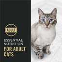 Purina Pro Plan High Protein Cat Food With Probiotics for Cats, Chicken and Rice Formula - 7 lb. Bag (EXP 09/01/27)