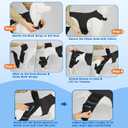 Dog Knee Brace for Torn ACL Hind Leg, Dog Leg Braces for Back Leg Support with 4 Metal Stabilizers Helps with Torn CCL, Luxating Patella, Ligament Injuries, Hip Dysplasia,M