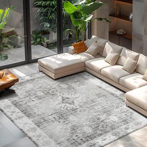 Auemtyn 9x12 Area Rug for Living Room, Grey Washable Rug with Non Slip Backing, Low Pile Carpet for Bedroom, Dinning Room (Grey, 9'x12')