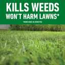 Roundup for Lawns Ready-to-Use with Extend Wand, Tough Weed Killer for Use on Northern Grasses, 1.33 gal.