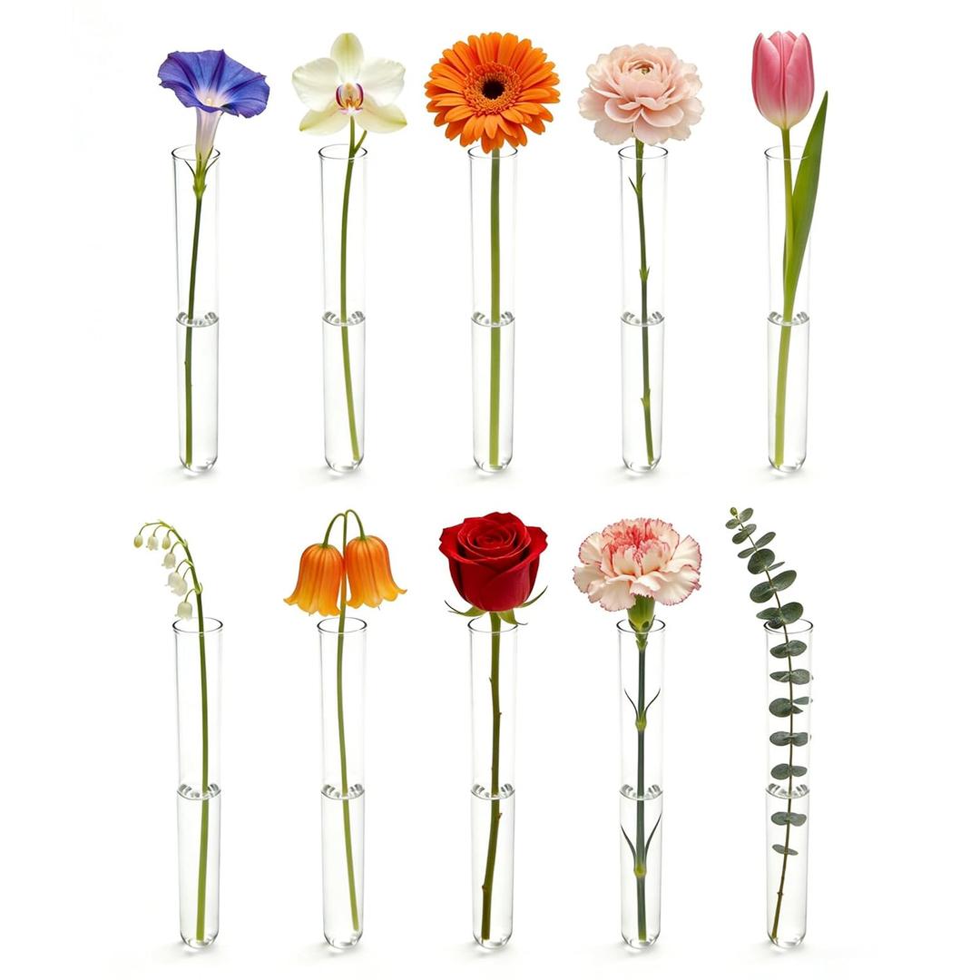 10 Pcs Glass Test Tubes for Plants, 6 Inch Plant Propagation Tubes Clear Propagation Vases, Hydroponic Planter for Home Office Desktop Decoration