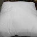 Haiyang Home Textile Hypoallergenic Throw Pillow 20 x 20 inches -True White