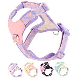 Petank Purple xs Dog Harness for Small Dogs, No Pull Dog Harness with 2 Leash Clips, Puppy Harness, Adjustable Dog Vest Harness (Purple, XS)