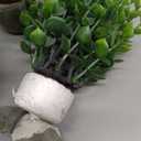 FAVOWREATH 4 Pack Fake Plants Ceramic Mini Artificial Greenery Potted Plants for Home Decor Office Decor Room Decor Farmhouse Decor Indoor Table Bathroom Decor