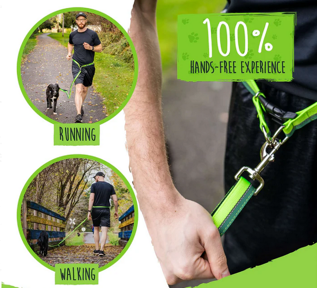 Lukovee No Pull Dog Harness & Leash Set - Heavy Duty Dog Vest Harness with Soft Padded for Medium Large Dogs, Adjustable Reflective Tactical Pet Harness for Easy Walk and Training (L, Green) (Large (Chest 26.4-30.3"))