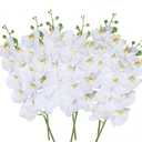 27" Artificial Phalaenopsis Flowers 6 Pcs White Perhaps Faint Yellow Artificial Orchid Flowers Stem Plants for Home Dcor