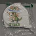 Dino Kindergarten Plates With Carrying Bag