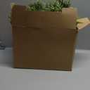 2PCS 6Ft Artificial Norfolk Pine Garlands, Real Touch Winter Christmas Garland, Green Artificial Greenery Garland for Table, Mantle, Wall, Indoor, Outdoor Christmas Decorations (2, 6FT)