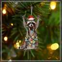 2 x Raccoon Christmas Ornament, Double-Sided Print, Racoon Ornament, Animal Ornaments, Funny Christmas Ornaments, Funny Raccoon Gifts for Women, Racoon Gift, for Grandkids, Family, Friends