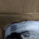 WUWEOT 12 Pack Purple Charger Plates, 12.7" Plastic Reef Dinner Under Plate, Round Charger Service Base Plate Bulk with Ruffled Rim for Party, Wedding, Catering Event, Tabletop Decor