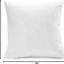 SNUG&COZY Luxury Goose Down Feather Pillow Inserts - 28x28IN, Double Layered Down-Proof Design, Ultra-Soft Cover, High Fill Weight, Pack of 1, White
