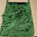 2PCS 9FT Christmas Garland Norfolk Pine Garland Real Touch Artificial Greenery Garland for Mantle Fireplace Table Indoor Outdoor Decor (9 ft (1 Pack- Young ))