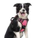 rabbitgoo Dog Harness Medium Sized, No Pull Dog Vest with 3 Buckles, Adjustable Soft Padded Pet Harness with Easy Control Handle and Reflective Strips, Pink, M