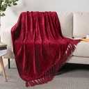 PAVILIA Burgundy Red Chenille Throw Blanket for Couch Sofa, Soft Maroon Red Knit Throw with Tassel, Decorative Blanket for Bed Chair Living Room, Wine Red 50x60