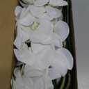 Artificial Orchid Plant, 35 Inch 4 Pcs Phalaenopsis Flowers with Leaves, Real Touch Orchid Stems for Home Decoration