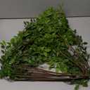 4Pcs Artificial Greenery Stems, 43.4" Nandina Branches Tall Faux Plant Stems for Vase, Greenery Decor Stems Leaves Bunches for Shop Garden Office Home Dcor