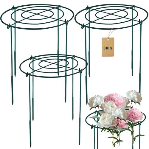 3Set Metal Peony Grid Cages, 30"H X 13"D Large Flower Support Cages Grow Through Hoop Ring Peony Stakes Garden Plant Support Rings Heavy Duty Plant Braces Peonies Structure for Outdoor Plants Blossoms