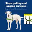 PetSafe Easy Walk No-Pull Dog Harness - Ultimate Harness to Help Stop Pulling - Pull-Free Walks - Take Control & Teach Better Leash Manners - Patented Martingale Loop Design - Green, Medium/Large