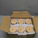 Potchen 6 Pack Administrative Professional Day Appreciation Gifts for Women 16oz Glass Cups with Lids Straws and Brushes Admin Assistant Secretary Thank You Gifts for Office Coworkers Employee