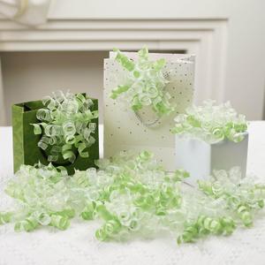 Lakkity 12Pcs Bows for Gift Wrapping, 6 Inch Curly Ribbon Bows, Self Adhesive Burst Gift Bow for Presents,Paper Bag, Baby Shower Favors, Wrapping Accessories, Wedding Decor((Apple green)