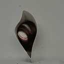 NAYOO Bangs Hair Clip- Dark Brown Fake Bangs 100% Real Human Hair Extensions Wispy Bangs for Women Fringe with Temples Hairpieces Curved Bangs for Daily WearDark Brown Wispy Bangs