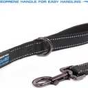 Max and Neo Reflective Nylon Dog Leash - We Donate a Leash to a Dog Rescue for Every Leash Sold (Black, 6 FT)