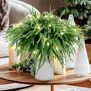 HUZIYAHAN 50 Pcs Christmas Norfolk Pine Stems, Christmas Greenery Stems, Artificial Pine Branches DIY Crafts for Xmas Wreath Garland Indoor Outdoor Home Holiday Accessories Decorations