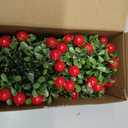 WILLBOND 2 Pieces Christmas Mistletoe Hanging Ornaments 5 Inches Mistletoe Kissing Ball Artificial Door Decor Pendants Green Leaves Red Berries Ornament Ball for Christmas Home and Party Supplies