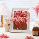 Mini Pink Dried Babys Breath Flowers,  4 Pack